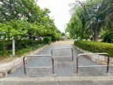 公園 弓場の先公園