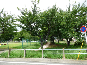 滝川公園の画像2
