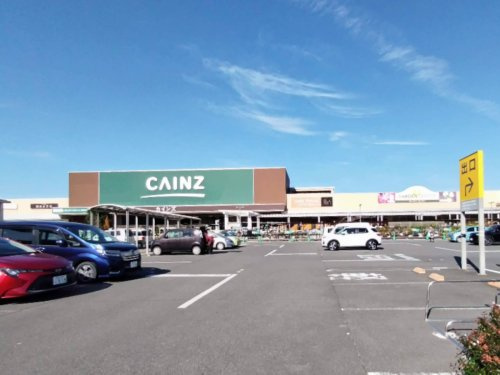 カインズ 本庄早稲田店の画像