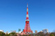 東京タワーの画像