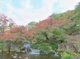 梅小路公園の画像