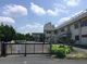 玉小学校の画像