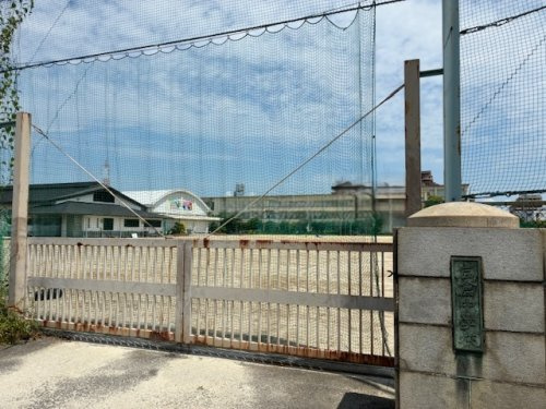 の画像