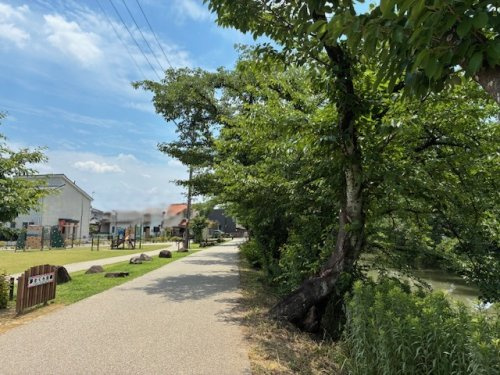 夢さくら公園　五条川