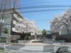 さいたま市立沼影小学校の画像