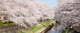 善福寺川緑地サービスセンターの画像