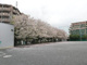 市場旧東海道公園の画像