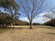 若宮公園の画像