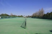 大宮第２公園の画像3