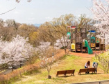 都立 桜ヶ丘公園