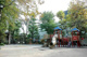 三栄公園の画像