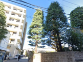 私立東京医科大学