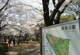 御滝公園の画像