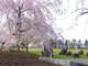 多功南原公園の画像