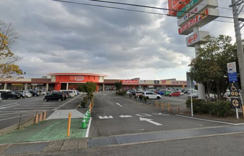 の画像