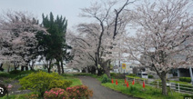 つつじケ丘公園