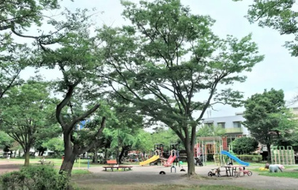 高沢公園の画像1