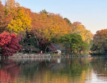 都立善福寺公園の画像1