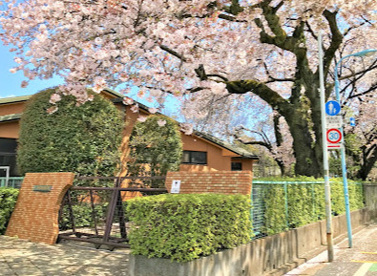 八幡幼稚園の画像1