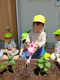 よつば保育園 相模原園の画像
