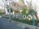 文京区立千駄木幼稚園の画像
