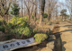 柏の宮公園の画像