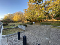 赤羽台さくら並木公園