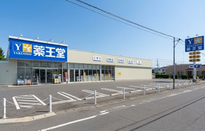薬王堂 日立大沼店の画像1