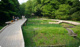 県立 東高根森林公園の画像