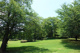 高野台緑地公園の画像