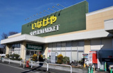 いなげや練馬南大泉店