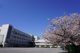 川崎市立殿町小学校の画像