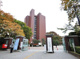 日本大学文理学部の画像