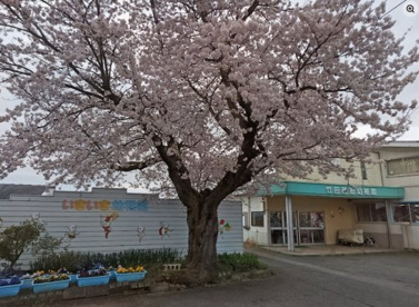竹田西部幼稚園の画像1