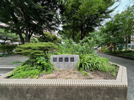 川辺公園