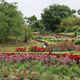 神野公園の画像