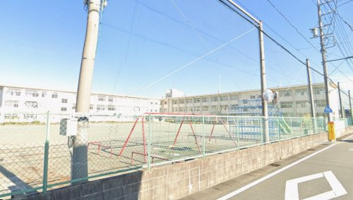 の画像