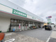 セイムス鹿浜店の画像