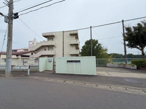 の画像