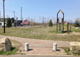 曙チューリップ公園の画像