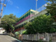 中野幼稚園の画像