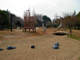 東原親水公園の画像