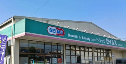 ドラッグセイムス 入谷舎人店の画像1