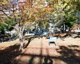 西堤公園の画像