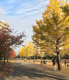 福岡中央公園の画像