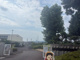 豊田市立井上小学校の画像