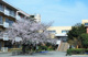 ふじみ野市立東原小学校の画像