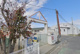 野洲市立北野幼稚園の画像