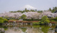 大石寺の画像