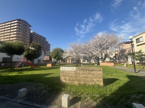 の画像